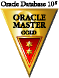 Oracle Master Gold Logo